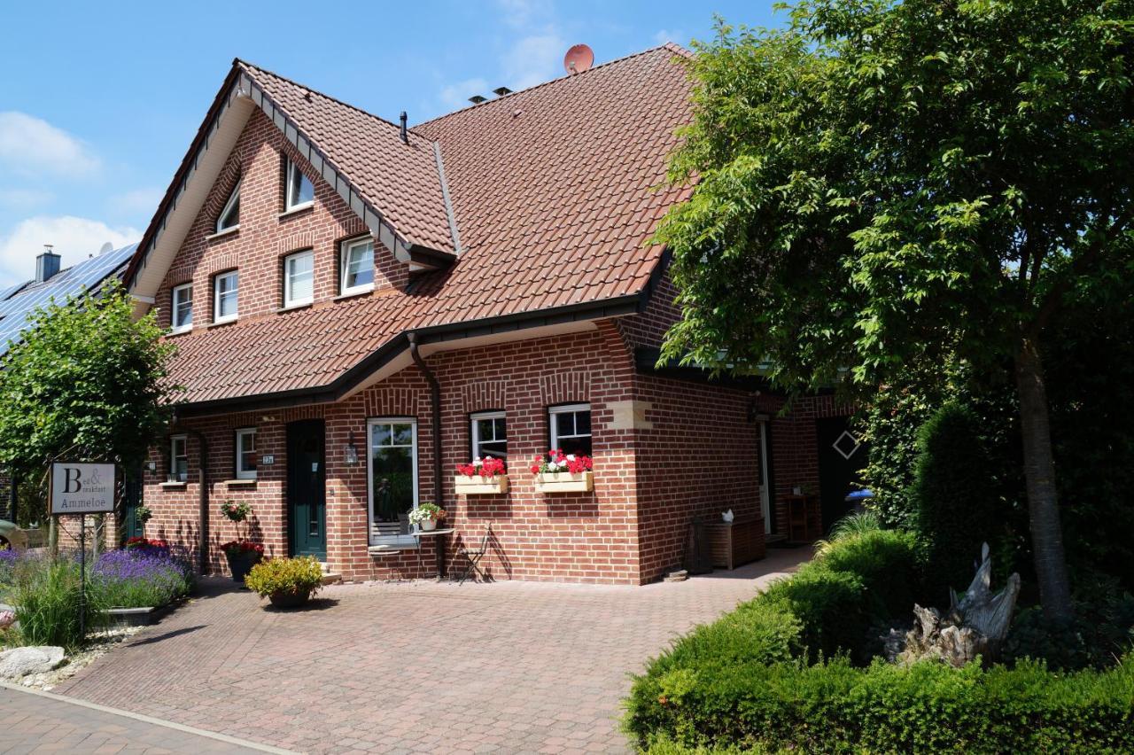 Bed And Breakfast Ammeloe Vreden Zewnętrze zdjęcie